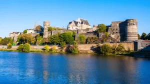stage-de-recuperation-de-point-angers