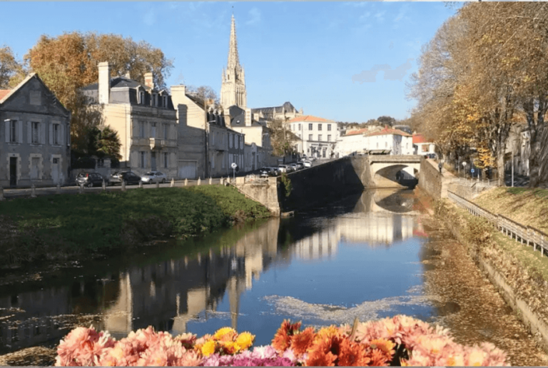 stage de récupération de points fontenay-le-comte